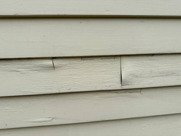 Siding for Commercial Buildings in Kenai, AK